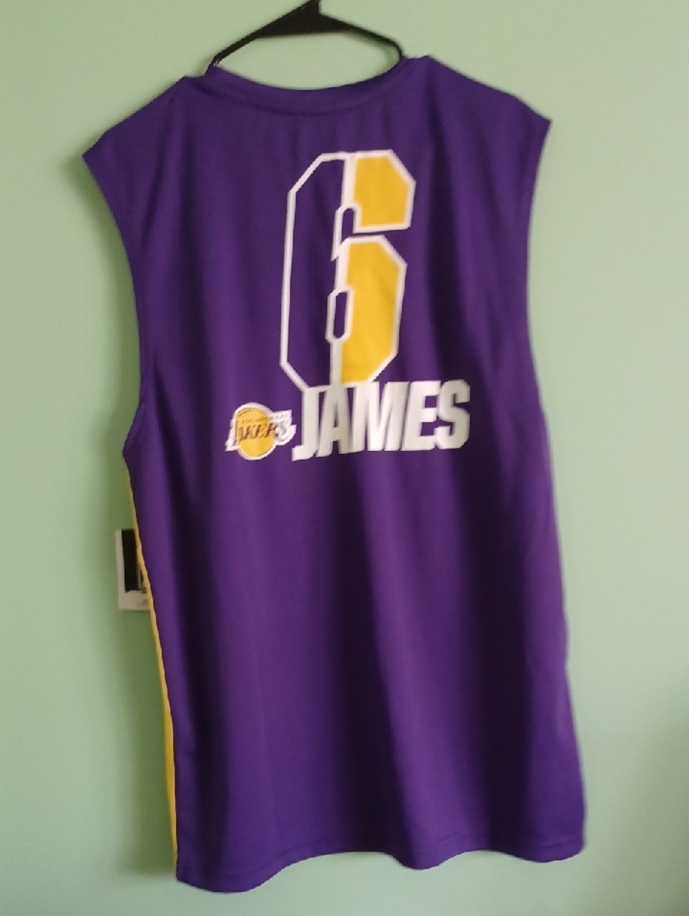 NBA Purple & Gold Sleeveless Basketball Jersey - James #6